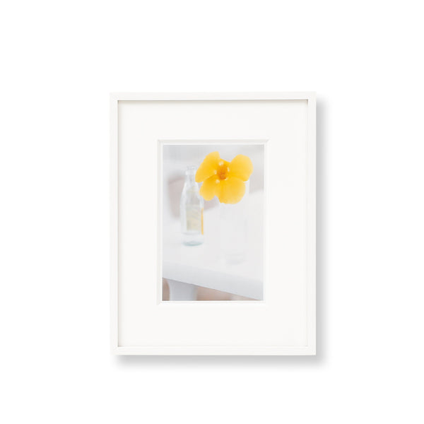 Ralph Gibson | Yellow Flower, St. Barts Vintage FOUND | MARKED