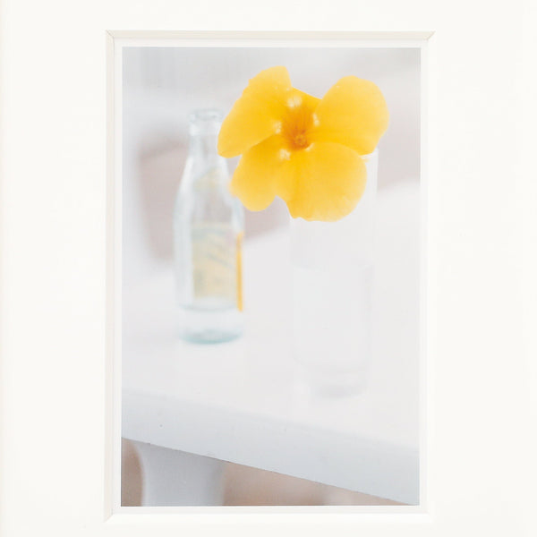 Ralph Gibson | Yellow Flower, St. Barts Vintage FOUND | MARKED